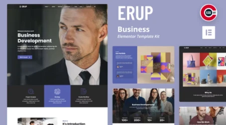 erup busines